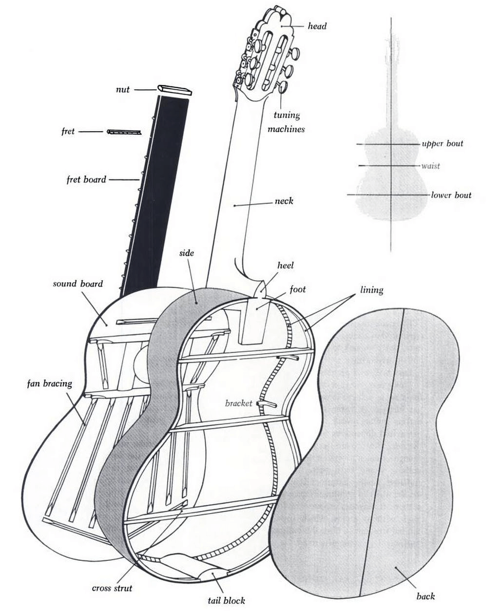 Exploded view of the classical guitar parts