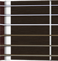 Fretboard