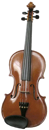 Violin